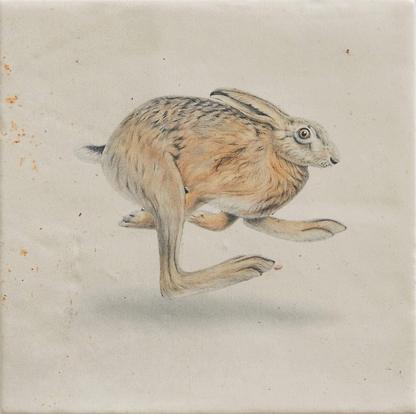 Wiltshire Hares By Joanna May - Hyperion Tiles