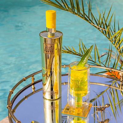 Au Vodka 70cl & Double Wall Bottle Glass Bundle