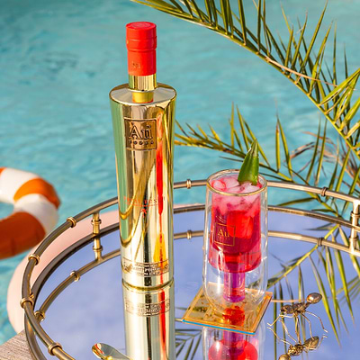 Au Vodka 70cl & Double Wall Bottle Glass Bundle