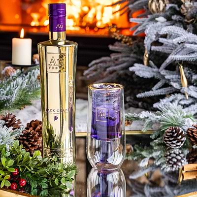 Au Double Wall Bottle Bundle - Au Vodka