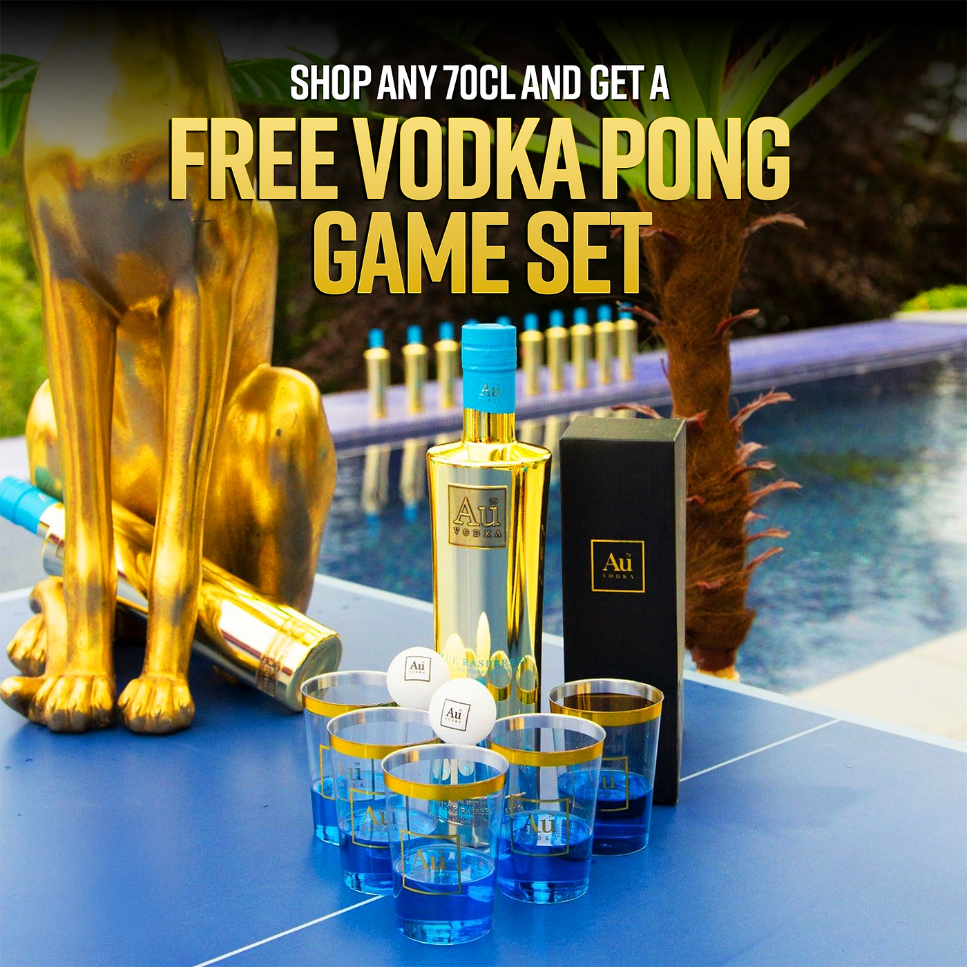 Au Vodka 70cl & FREE Pong Game Set