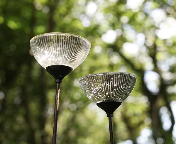 Garden Lights