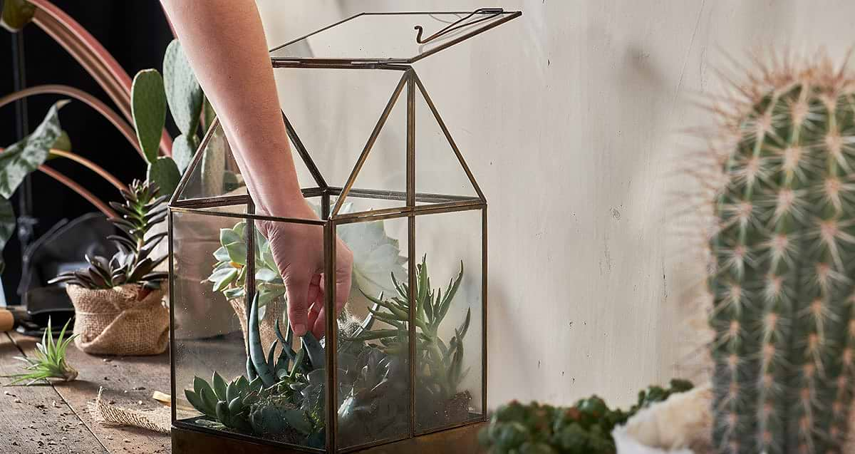 Terrarium