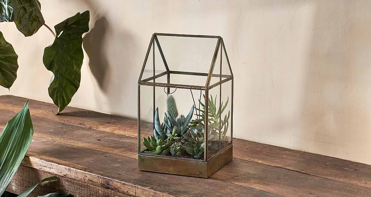 Terrarium