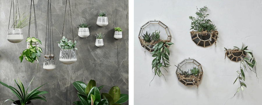 Hanging & Wall Planters