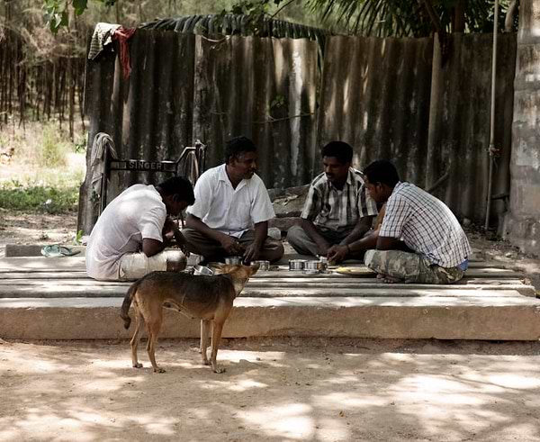 Indian men having lunch 