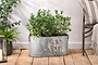 Akasa Trough Planter - Zinc-nkuku