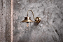 Nkuku LIGHTING Alwar Outdoor Wall Light