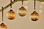 Betini Baubles - Gold (Set of 4)