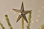 Bakara Star Tree Topper - Antique Brass-nkuku