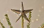 Bakara Star Tree Topper - Antique Brass-nkuku