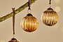 Betini Baubles - Gold (Set of 4)-nkuku