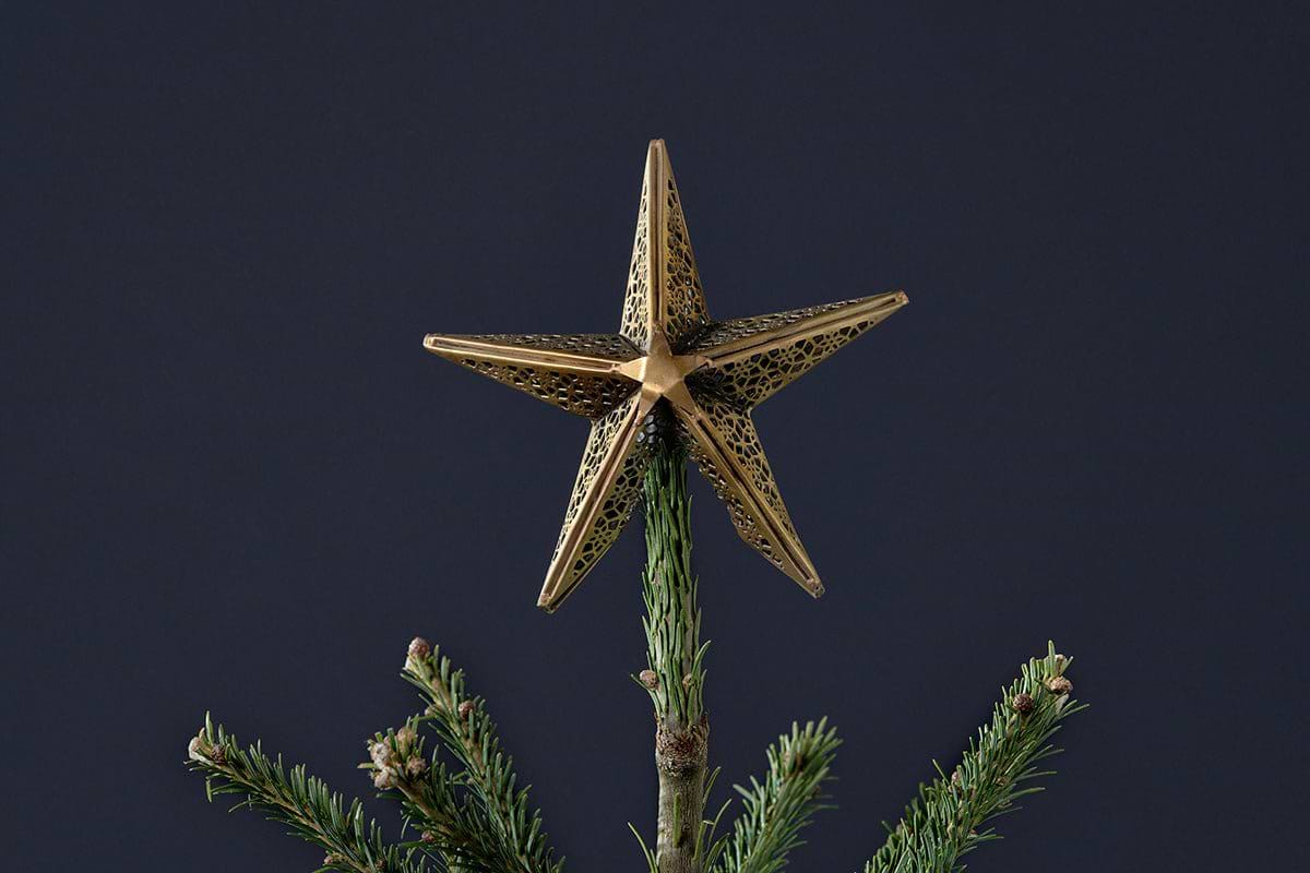 Bishakha Star Tree Topper-nkuku