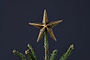 Bishakha Star Tree Topper-nkuku