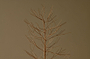 Charida Base Wire Tree - Brass - Extra Large-nkuku