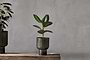 Dasalla Planter - Aged Brass-nkuku