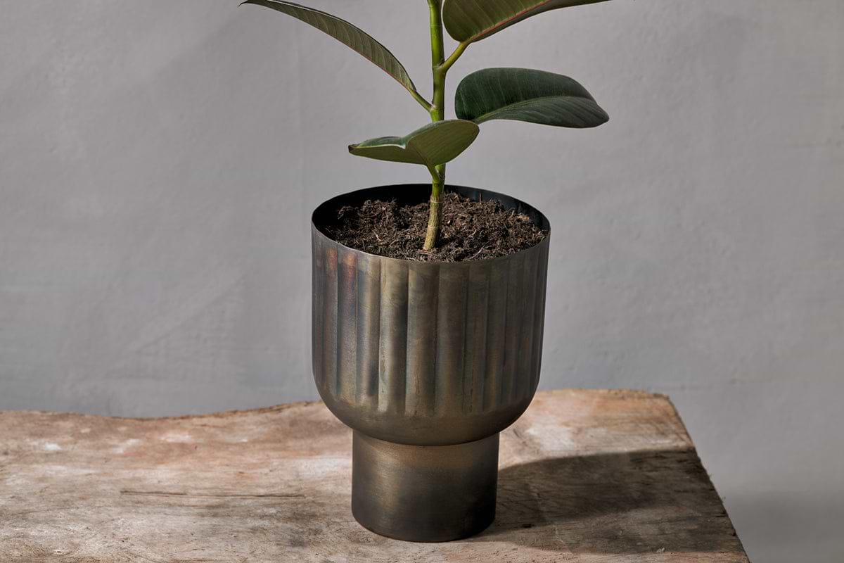 Dasalla Planter - Aged Brass-nkuku