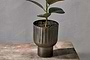 Dasalla Planter - Aged Brass-nkuku