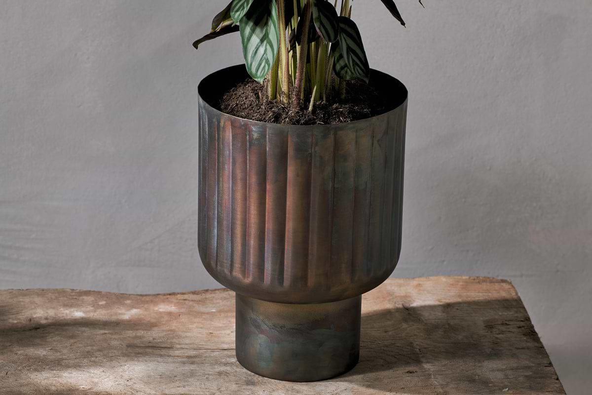 Dasalla Planter - Aged Brass-nkuku