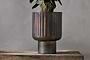 Dasalla Planter - Aged Brass-nkuku