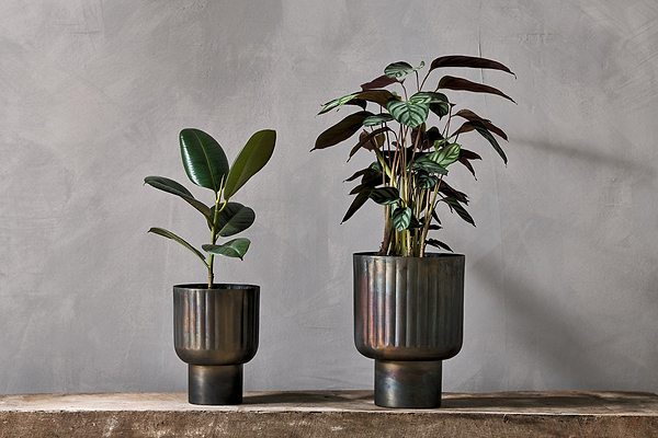 Dasalla Planter - Aged Brass-nkuku