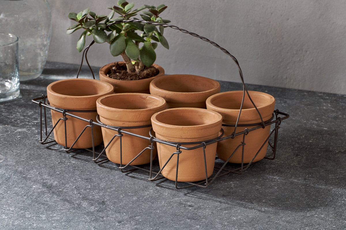 Dilipa Terracotta Multi Planter - Terracotta-nkuku