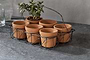 Dilipa Terracotta Multi Planter - Terracotta-nkuku