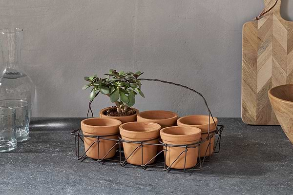 Dilipa Terracotta Multi Planter - Terracotta-nkuku