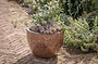 Dunai Terracotta Planter - Brown-nkuku