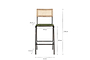 Iswa Leather & Cane Counter Chair - Rich Green-nkuku