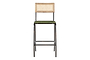 Iswa Leather & Cane Counter Chair - Rich Green-nkuku