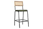 Iswa Leather & Cane Counter Chair - Rich Green-nkuku