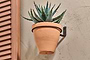 The nkuku Jara Single Wall Hung Planter, featuring a green spiky succulent in a terracotta pot, is mounted on a beige stucco wall with a black metal bracket. Wooden shutters are seen partially on the left of the image.