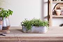 Japos Outdoor Planter Tray - Aged Zinc-nkuku