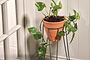 Jara Terracotta Planter With Stand-nkuku