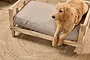 nkuku PET Koska Cotton Pet Cushion - Natural - Large