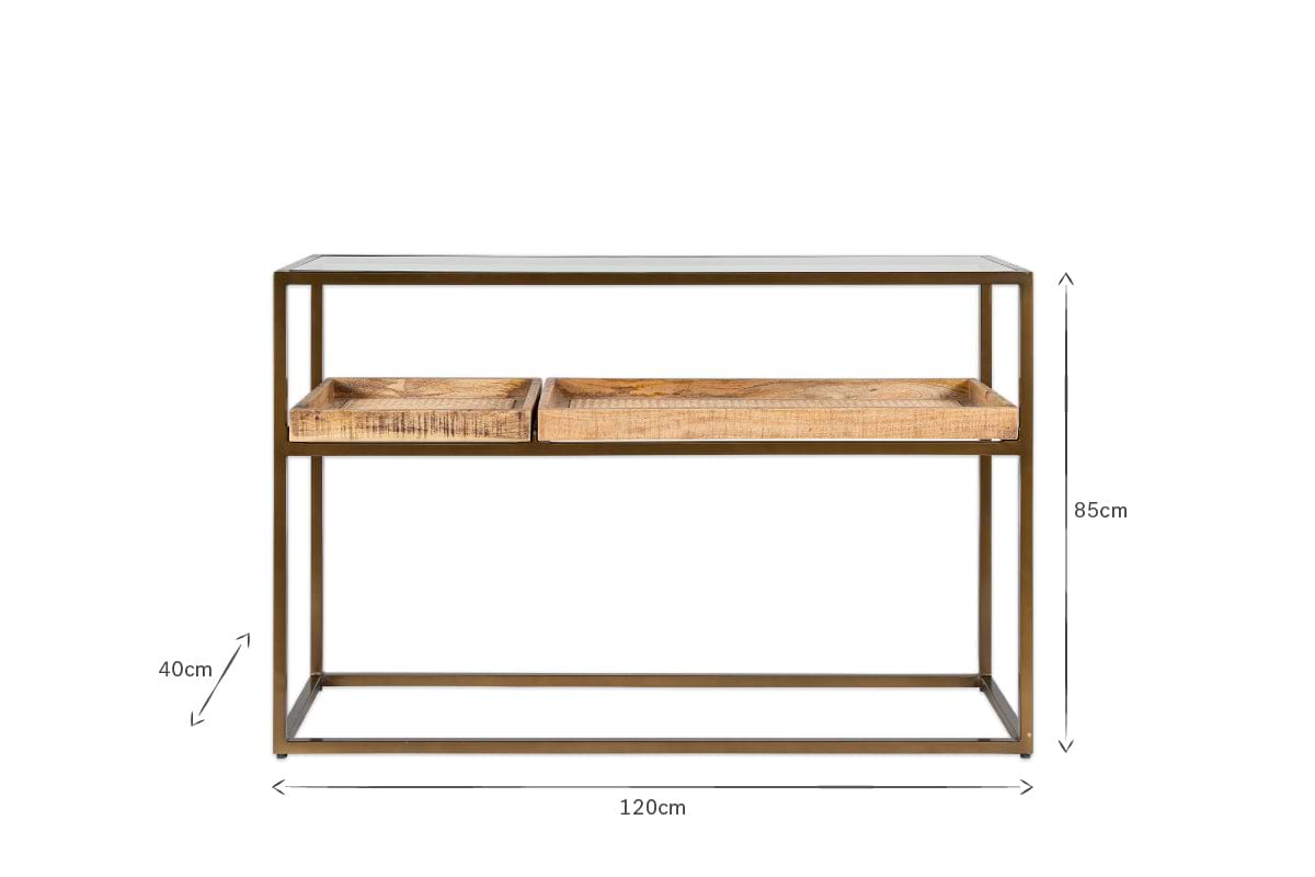 Luzon Iron & Mango Wood Display Console Table