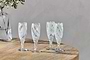 Lohara Champagne Glass - White (Set of 4)
