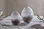 Essan Recycled Glass Opening Egg - Clear
