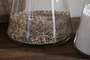 A close-up of the nkuku Chaaval Storage Jar - Clear, filled with oat flakes, sits on a wooden surface beside another jar of white powder. Both feature wide bases and narrow tops, perfect for kitchen organisation against a light-colored wall.