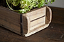 A close-up shows the nkuku Dudha Reclaimed Brick Box - Natural, a rustic indoor planter with metal accents, housing vibrant leafy herbs. The box and plant are partially visible on a dark wooden surface.