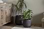Two potted houseplants—one tall and spiky, one shorter with round leaves—sit in nkuku’s Lmaga Metal Grooved Planters in aged black on a wooden floor beside a rustic cabinet, with a woven rug and upholstered chair nearby.