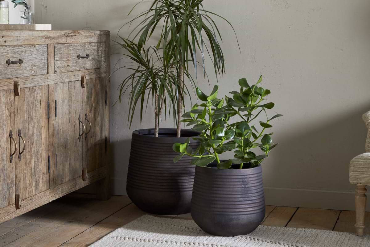 Two potted houseplants—one tall and spiky, one shorter with round leaves—sit in nkuku’s Lmaga Metal Grooved Planters in aged black on a wooden floor beside a rustic cabinet, with a woven rug and upholstered chair nearby.