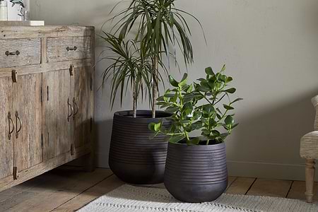 Two potted houseplants—one tall and spiky, one shorter with round leaves—sit in nkuku’s Lmaga Metal Grooved Planters in aged black on a wooden floor beside a rustic cabinet, with a woven rug and upholstered chair nearby.