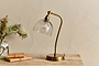 Purnia Glass & Metal Desk Lamp - Clear & Antique Brass-nkuku