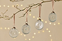 Sundara Baubles - Clear - (Set of 4)-nkuku