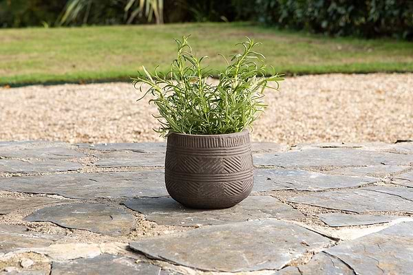 Zadie Etched Ceramic Planter - Grey - Small-nkuku