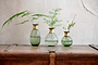 Miza Mini Glass Vase - Green-nkuku