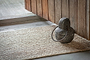 Vagator Weight Door Stop-nkuku