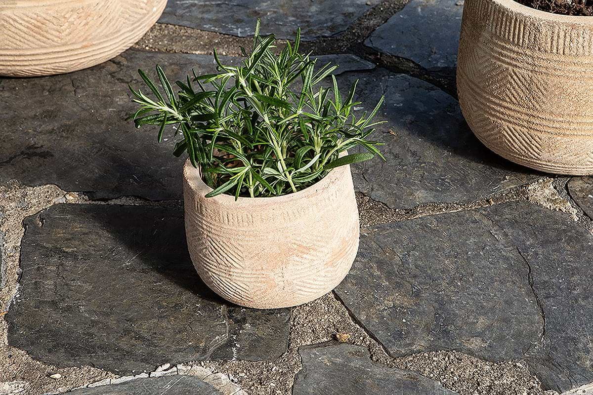 Zadie Etched Ceramic Planter - Neutral - Small-nkuku